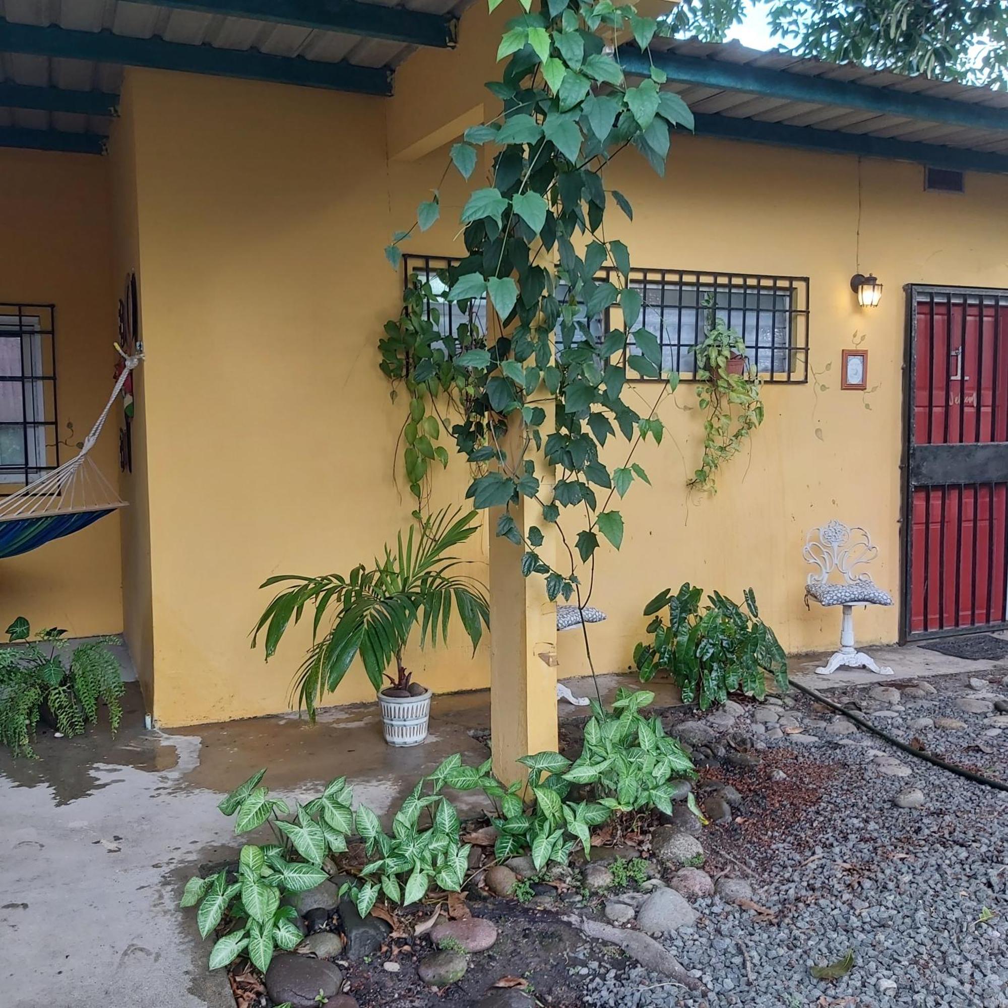 Bed and Breakfast Sweet Dreams San Carlos Exteriér fotografie